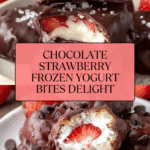 Chocolate Strawberry Frozen Yogurt Bites Recipe