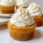 Mini Pumpkin Cheesecake Recipe