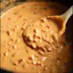 The Best Slow Cooker Queso Dip Recipe