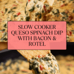 Slow Cooker Queso Spinach Dip Recipe