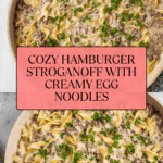 The Best Hamburger Stroganoff Recipe