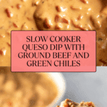 The Best Slow Cooker Queso Dip Recipe