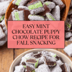 Mint Chocolate Puppy Chow Recipe