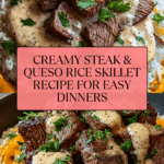 Mouthwatering Steak & Queso Rice Recipe
