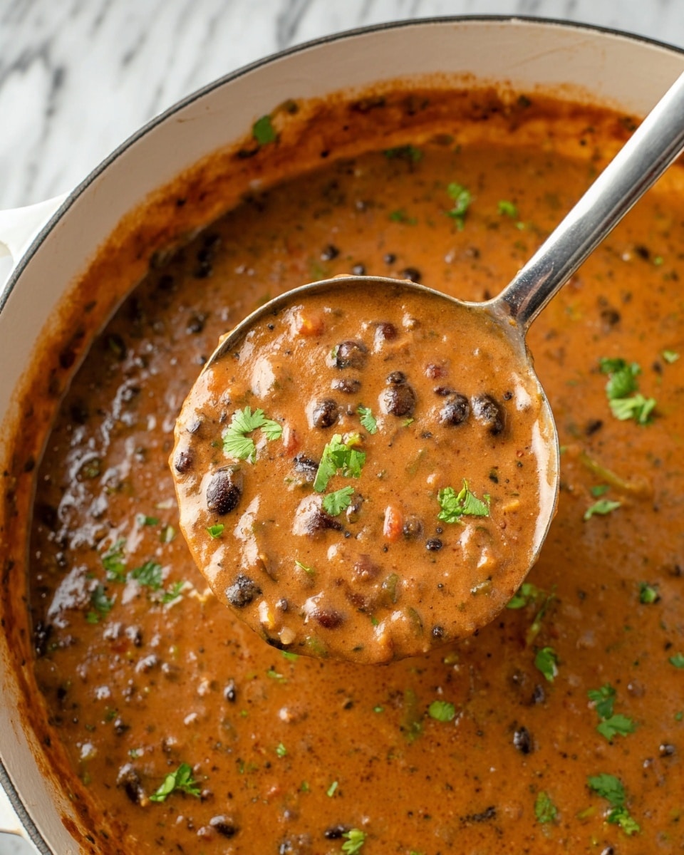 A close-up view of a thick, brown stew with visible small black beans and bits of vegetables, garnished with small pieces of fresh green cilantro scattered on top. The stew is creamy with a slightly chunky texture and appears to be in a large white pot with a smooth interior. A shiny metal ladle filled with the stew is held above the pot, showing the stew’s rich consistency, dotted with bits of herbs and small green and dark pieces. The background has a white marbled texture. photo taken with an iphone --ar 4:5 --v 7