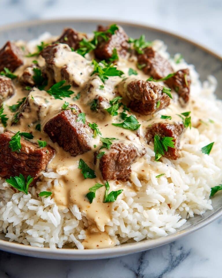 Steak Queso Rice Recipe